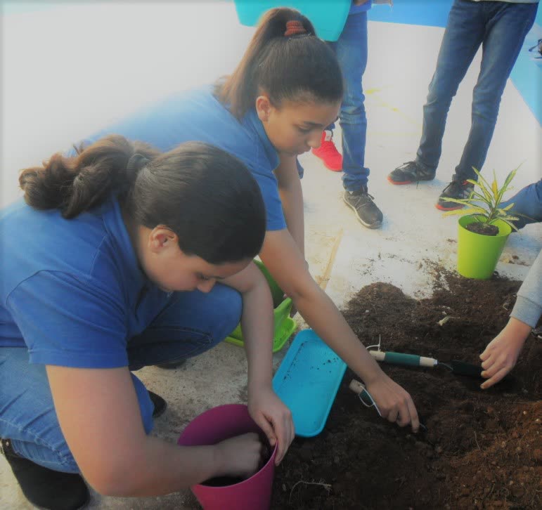 Élèves plantant dans le jardin de l'école